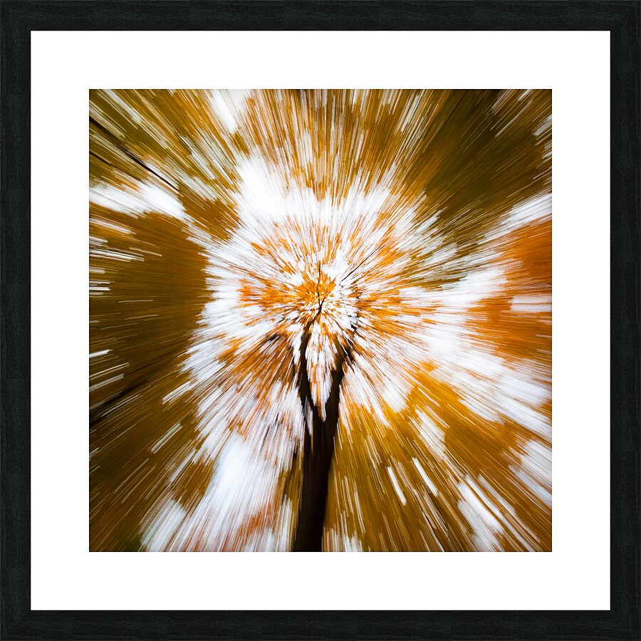 Autumn Explosion Picture Frame print