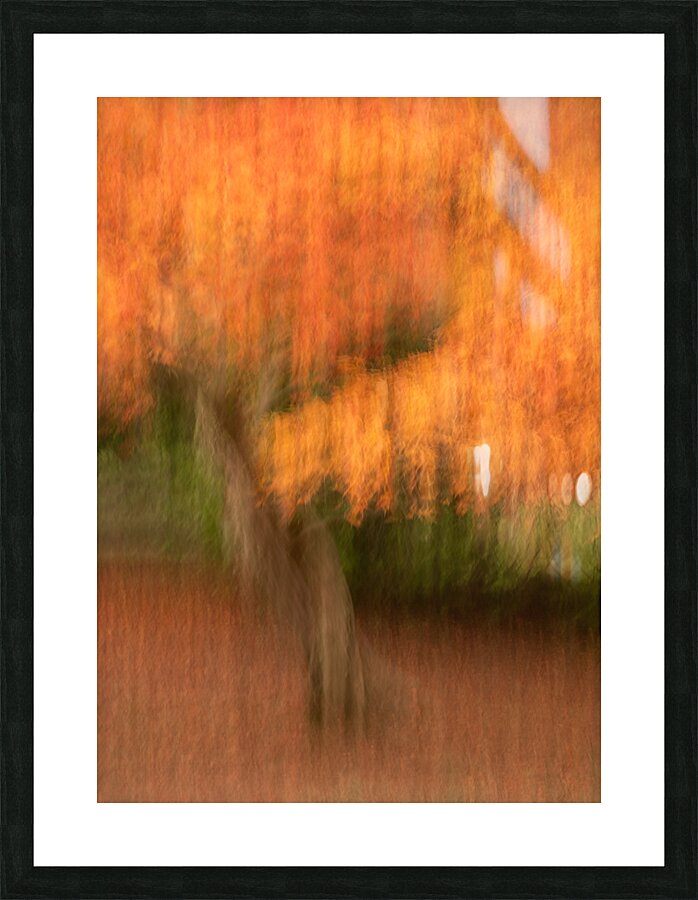 Autumn in Motion Picture Frame print