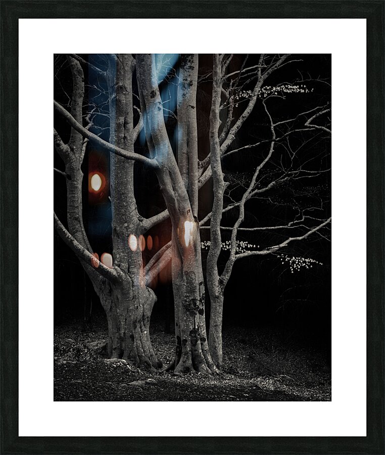 Beech Tree Picture Frame print