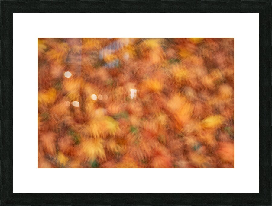 Autumn Leaves Picture Frame print