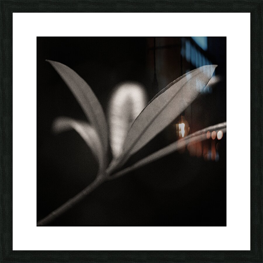 Woodland Study 6 Picture Frame print