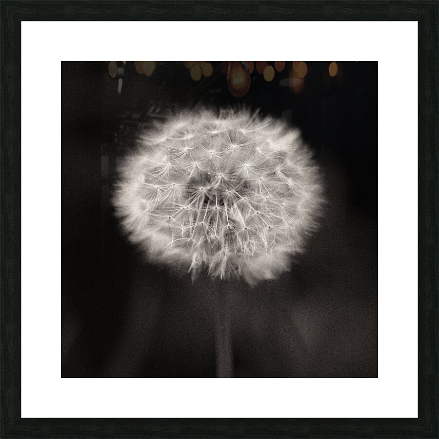 Woodland Study 5 Picture Frame print