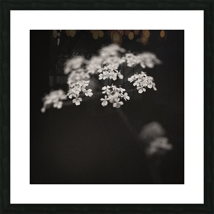 Woodland Study 2 Picture Frame print