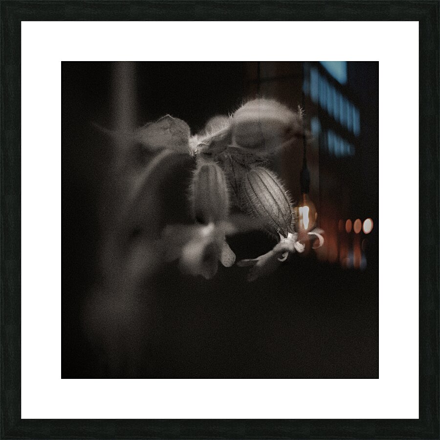 Woodland Study 9 Picture Frame print