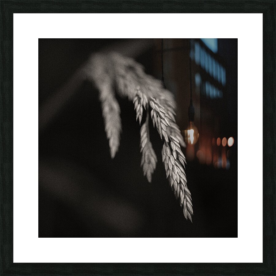 Woodland Study 7 Impression et Cadre photo