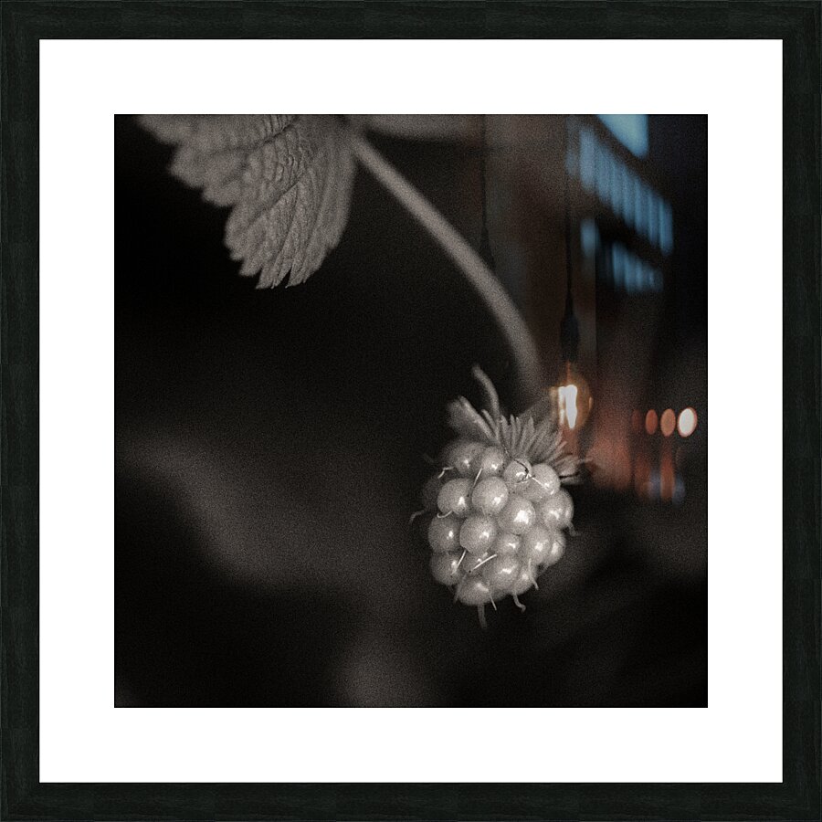 Woodland Study 10 Impression et Cadre photo