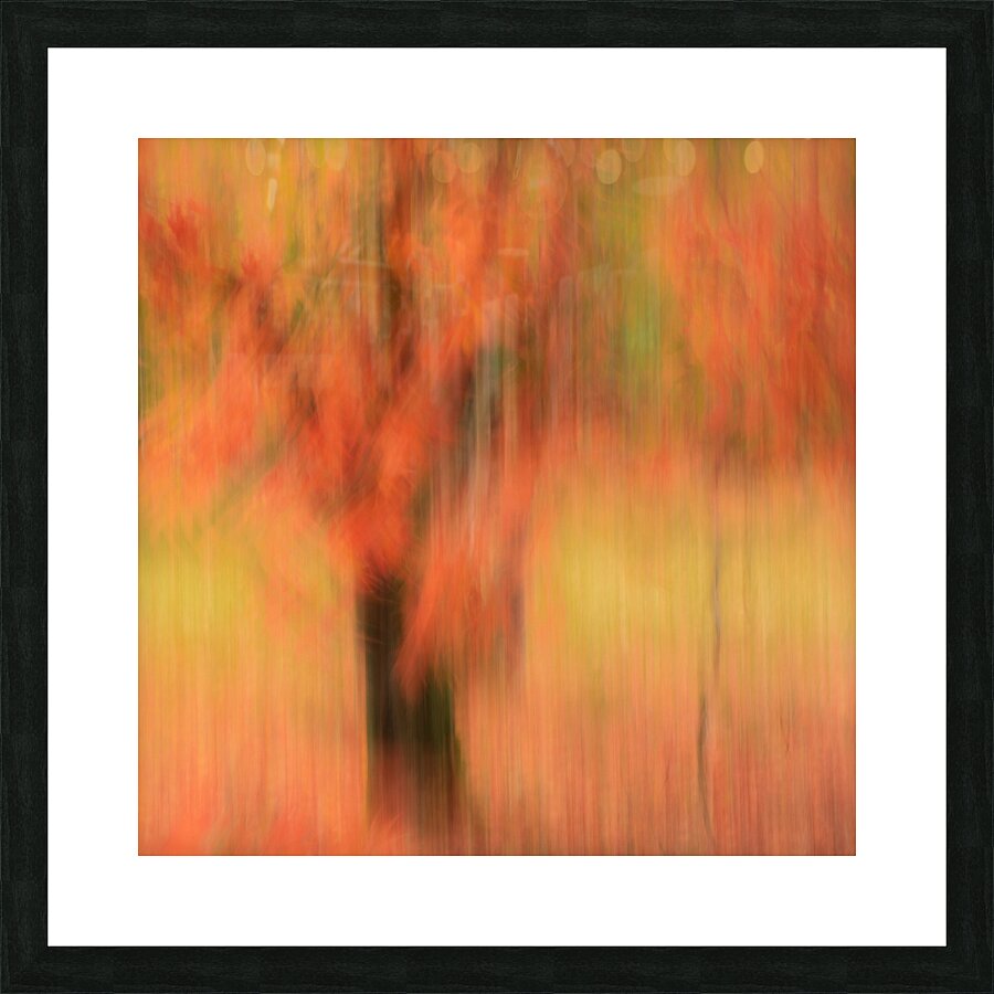 Autumn Mirage Impression et Cadre photo
