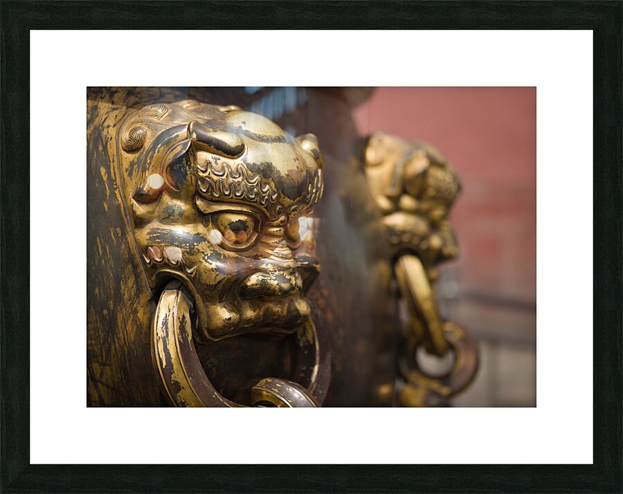 Cauldron Lion Impression et Cadre photo