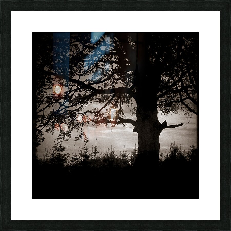 As the Day Fades Picture Frame print