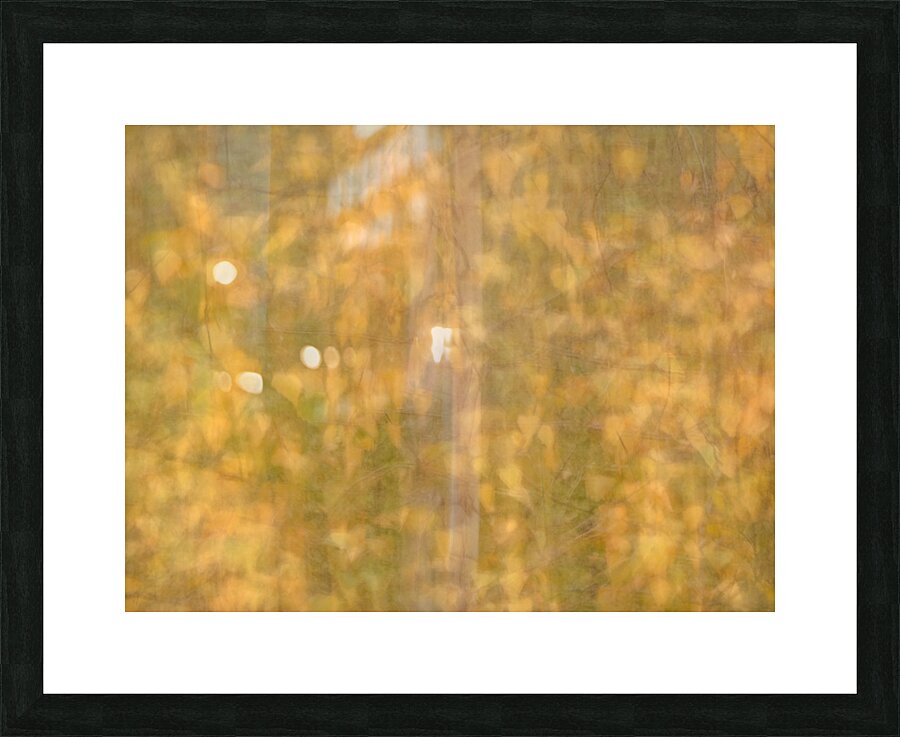 Whispering Leaves Picture Frame print