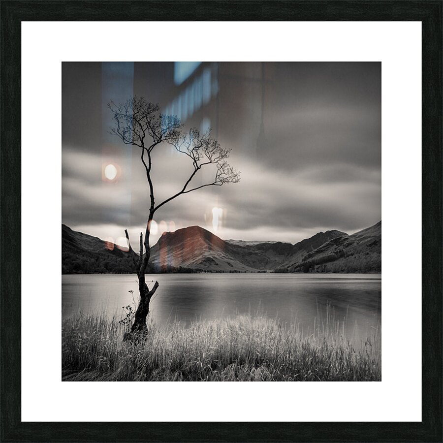 Buttermere Tree Picture Frame print