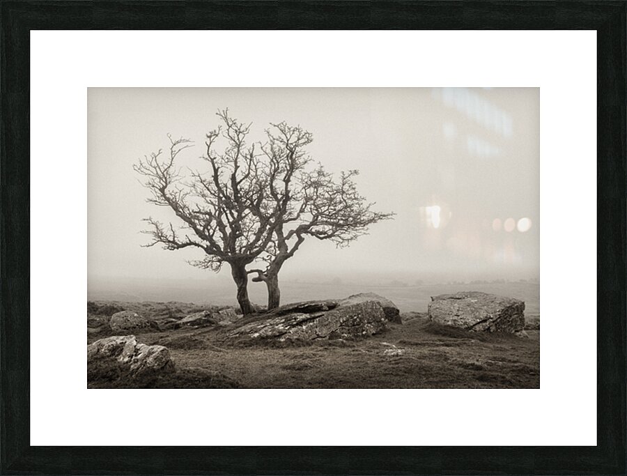 Dartmoor Solitude Impression et Cadre photo