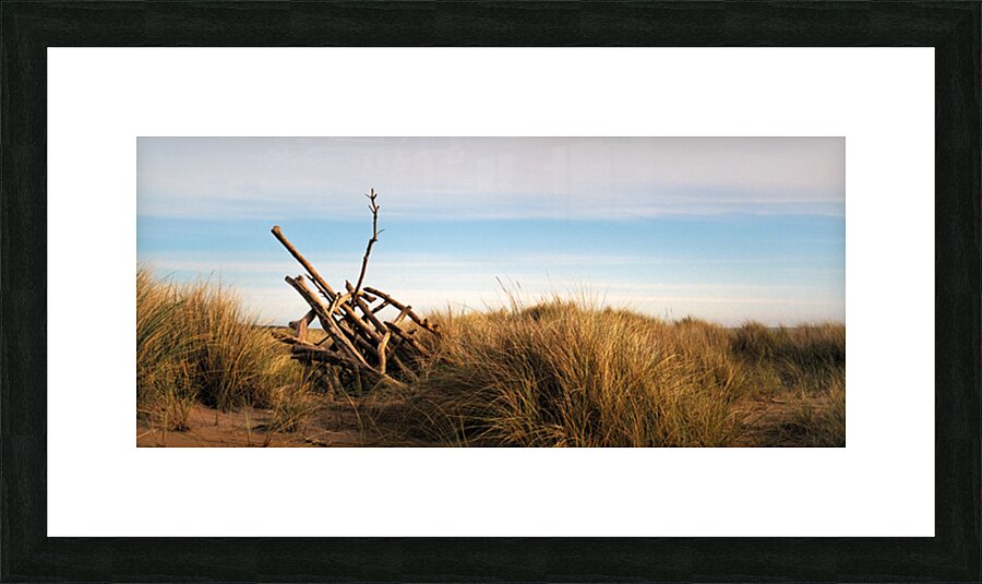 Driftwood Picture Frame print