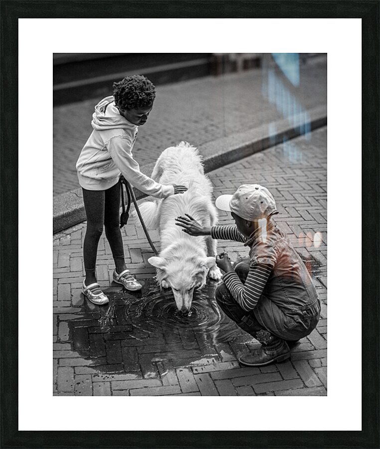 Watering Hole Picture Frame print