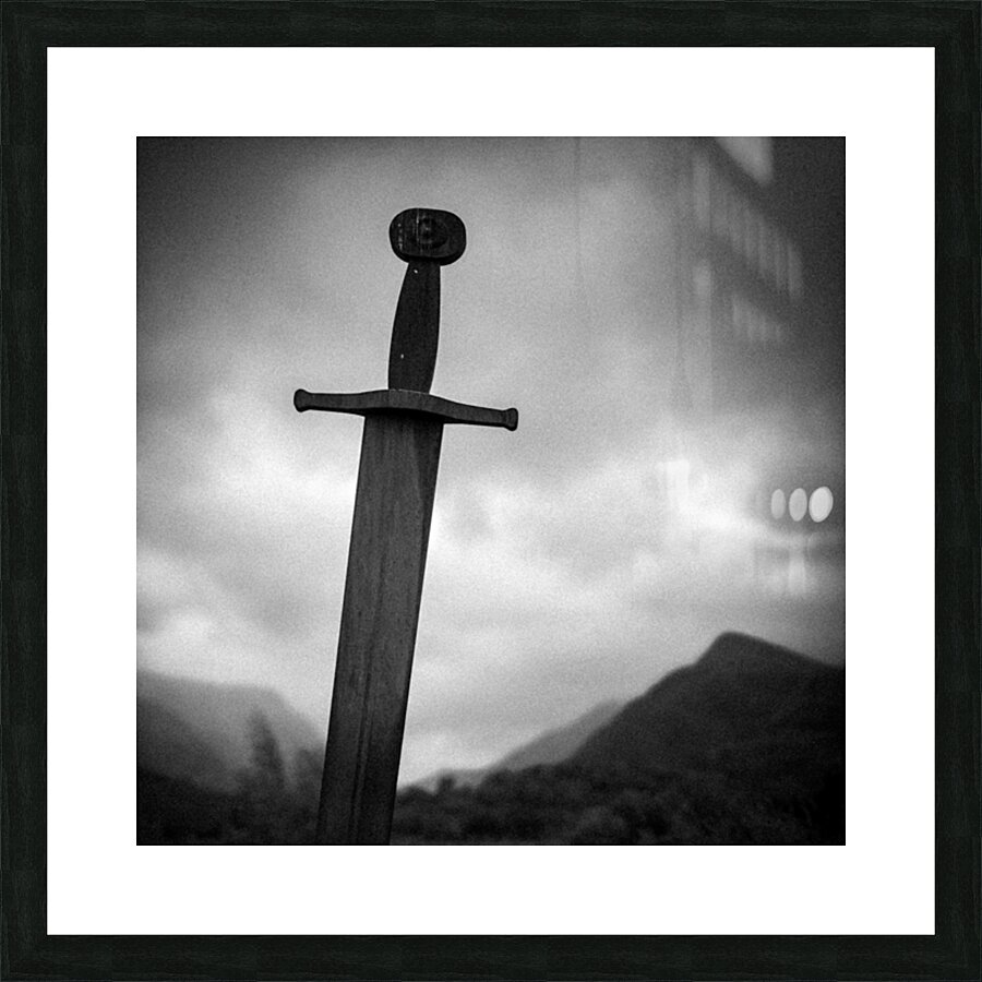 Blade of the Giants I Picture Frame print