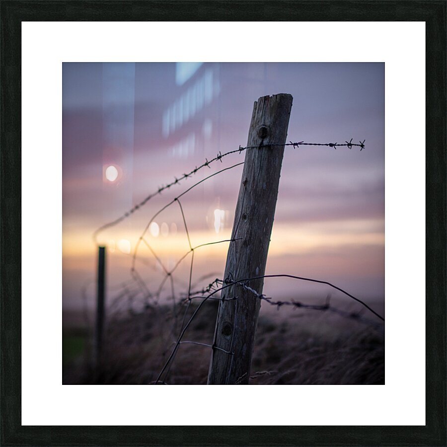 Anglesey Fence at Sunset Picture Frame print