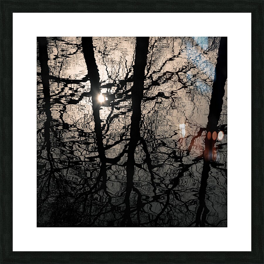 Woodland Waters Impression et Cadre photo