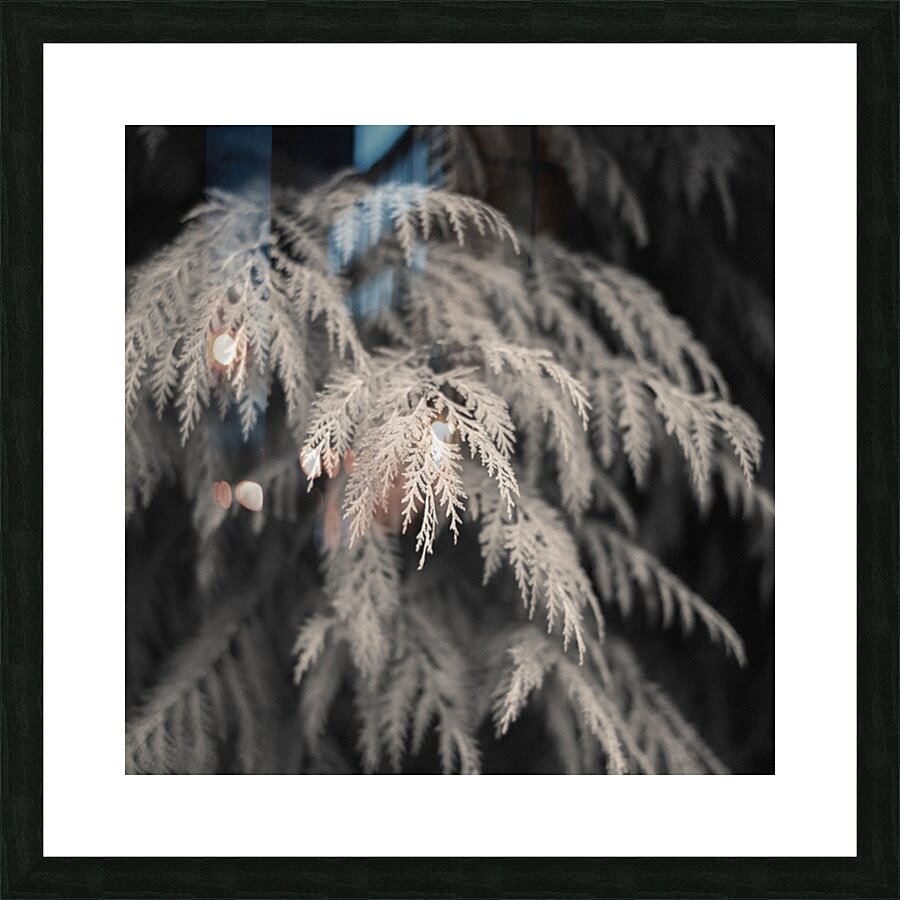 Cypress Leaves Picture Frame print