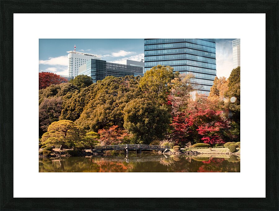Shinjuku Gyoen National Garden Picture Frame print