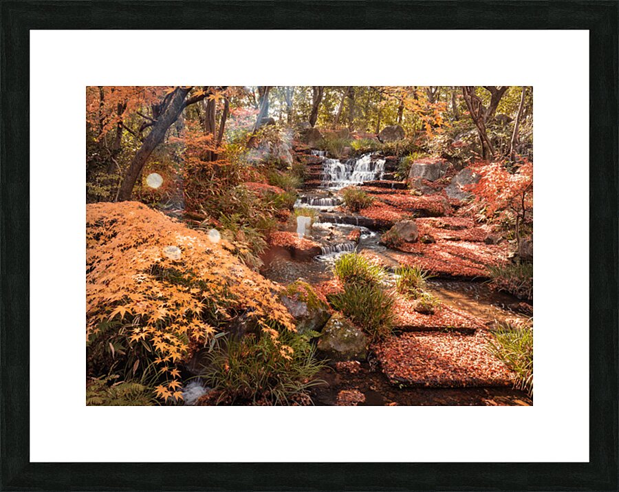 Autumn in Kokoen Garden Picture Frame print
