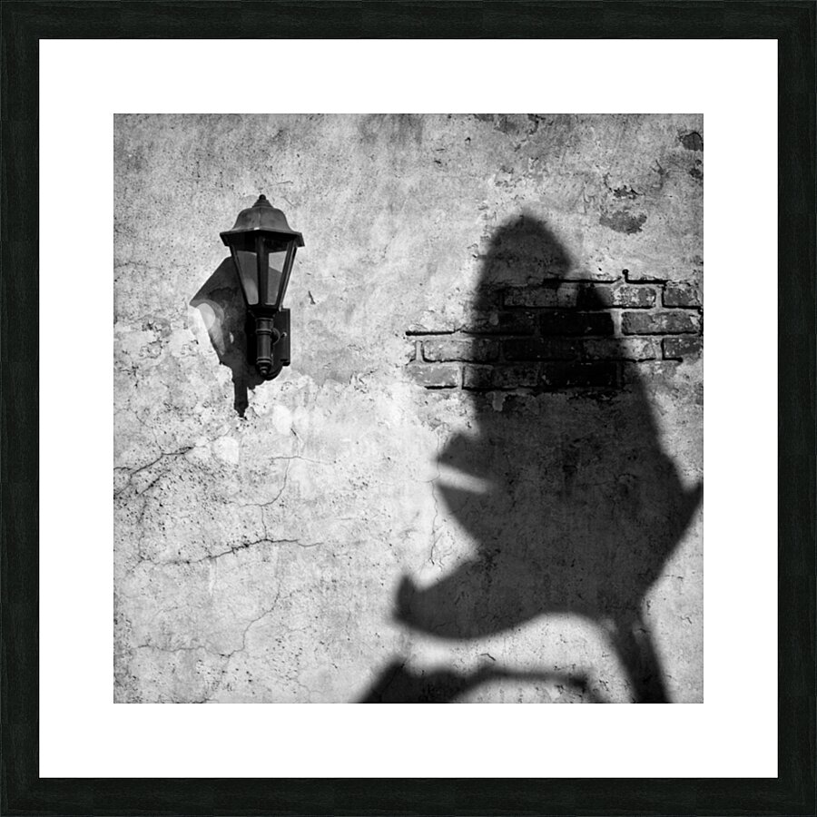 Lamp and Leaf Picture Frame print