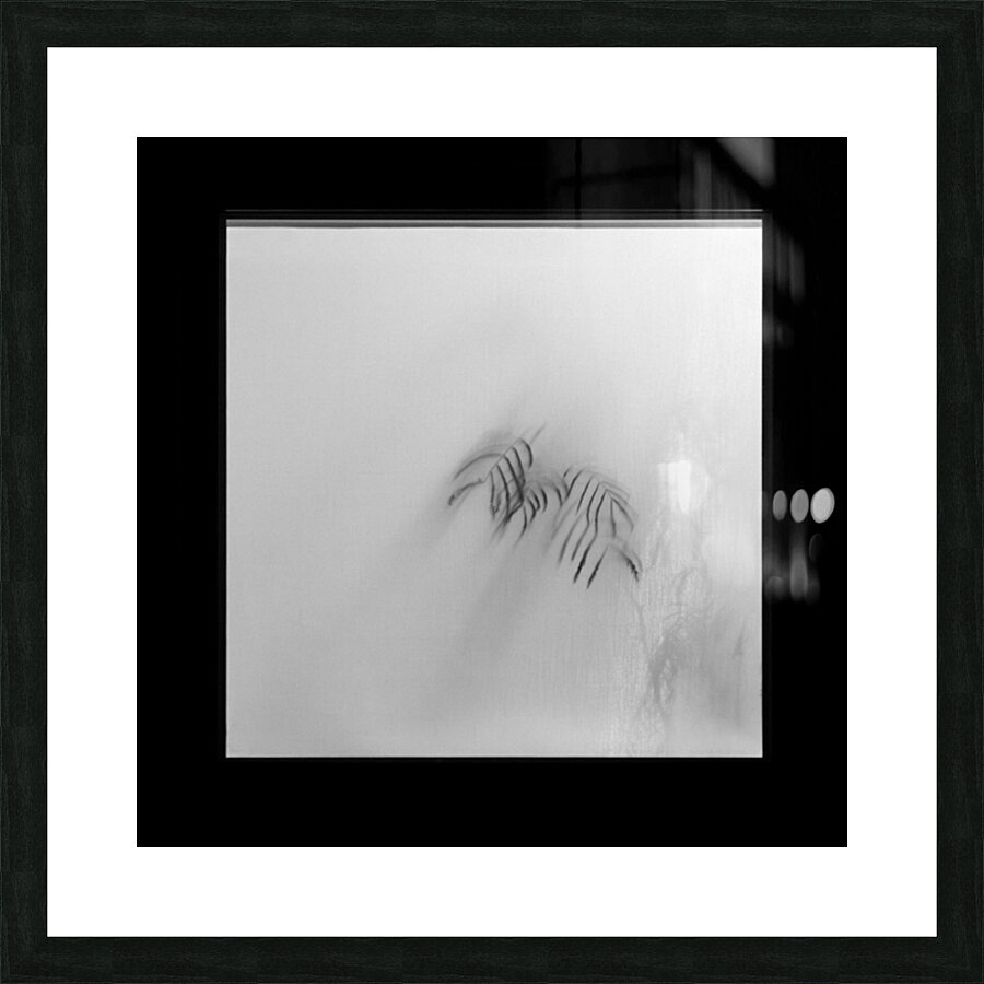 Kyoto House Plant Impression et Cadre photo