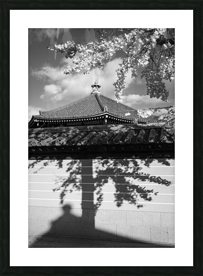 Shadows at Shitennoji Temple Picture Frame print