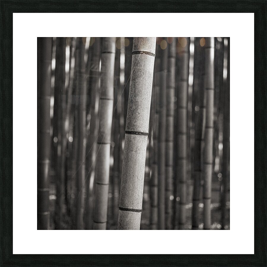 Arashiyama Bamboo Picture Frame print