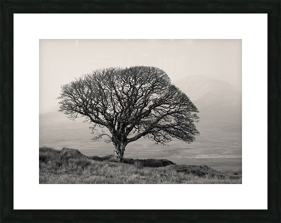 Islay Sentinel Impression et Cadre photo