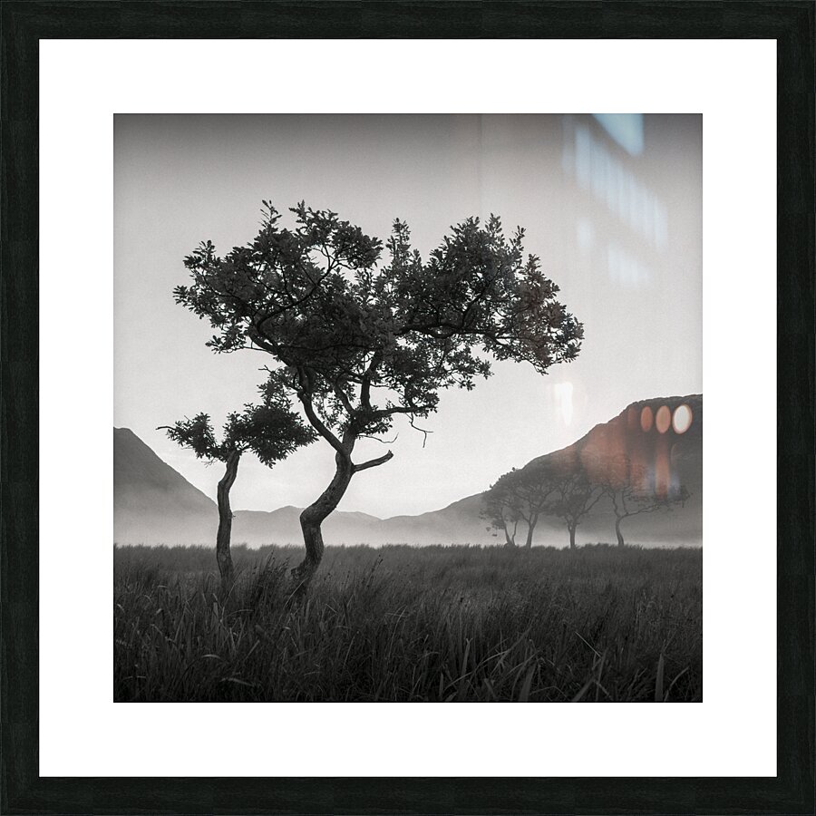 Crummock Water Tree Picture Frame print
