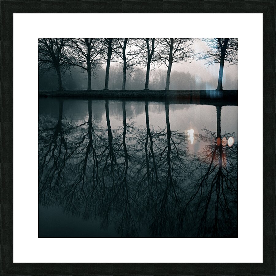 Wilhelminapark Picture Frame print