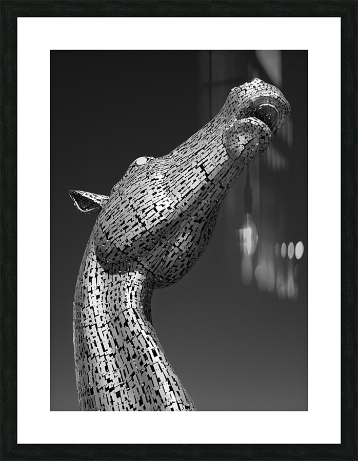 Kelpie Picture Frame print