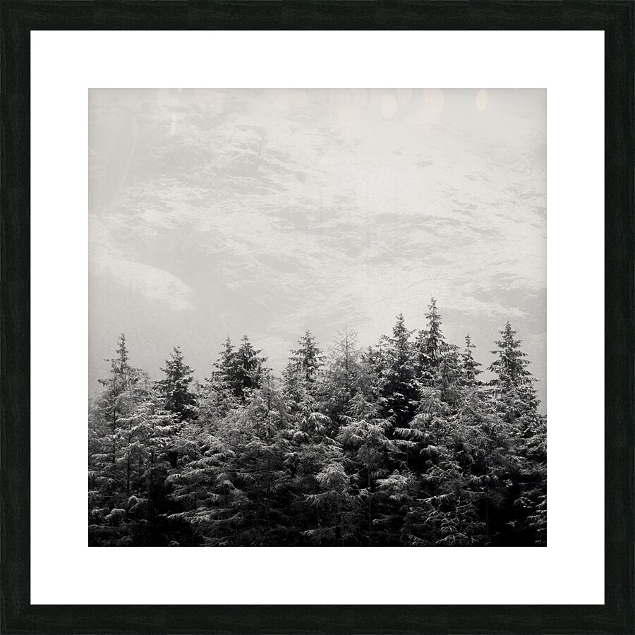 Snowcapped Firs Picture Frame print