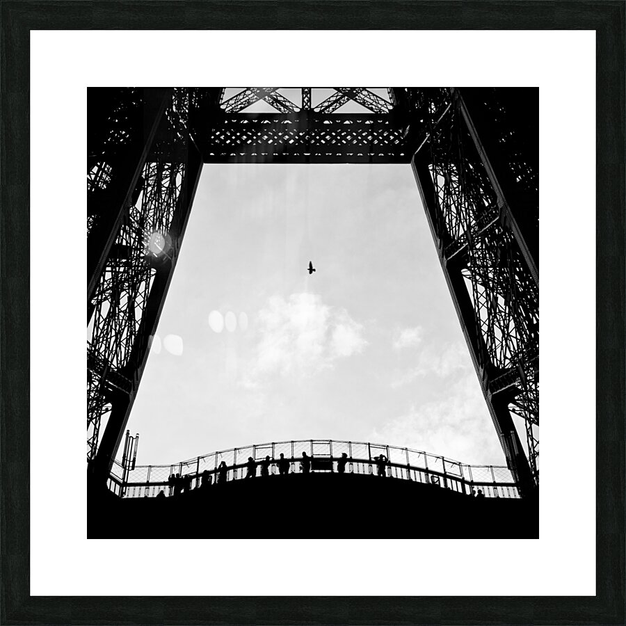 Birds-Eye View Picture Frame print