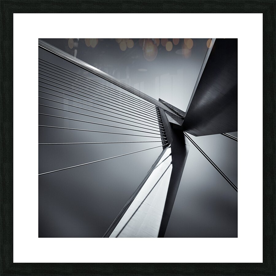 Erasmusbrug Impression et Cadre photo