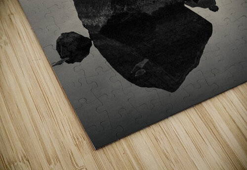 Dawn Flight Dave Bowman puzzle