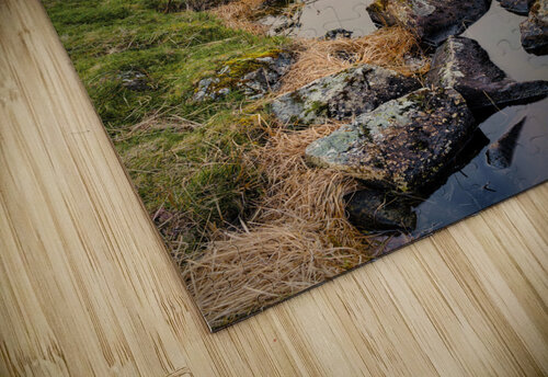 Cregennen Boat House Dave Bowman puzzle