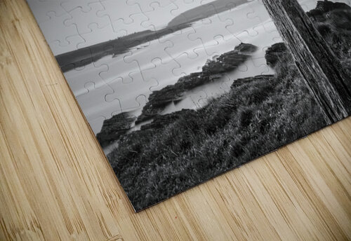 Whalebone Dave Bowman puzzle