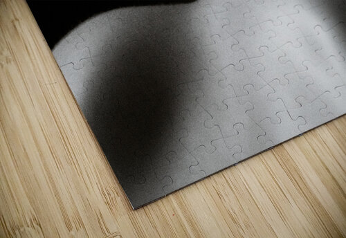 Nude Study  No4 Dave Bowman puzzle