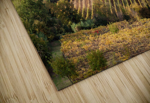 Tuscan Valley Dave Bowman puzzle