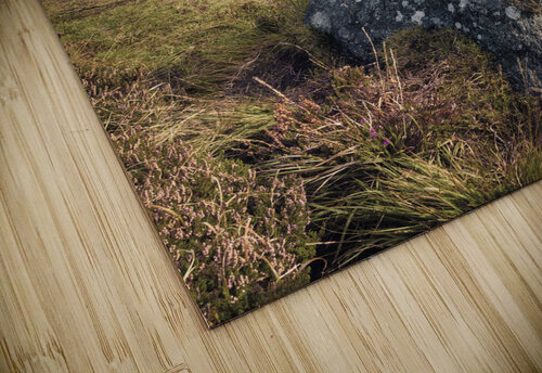 Pobull Fhinn Stone Circle Dave Bowman puzzle