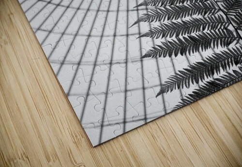 Fern and Dome Dave Bowman puzzle