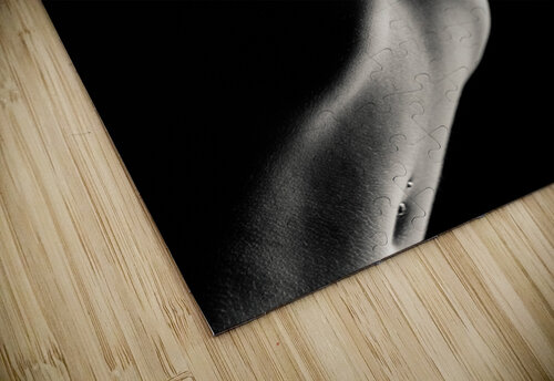 Nude Study No11 Dave Bowman puzzle