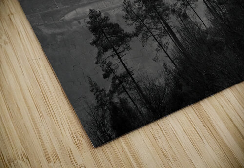 Triora Dave Bowman puzzle