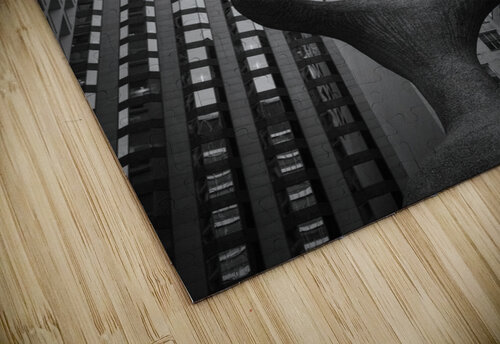 Miros Chicago Dave Bowman puzzle