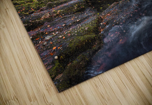 Autumn at Gannochy Bridge Dave Bowman puzzle