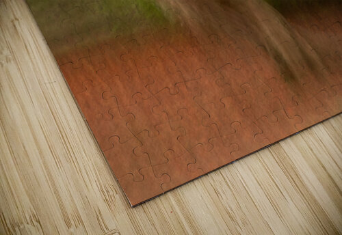 Autumn in Motion Dave Bowman puzzle