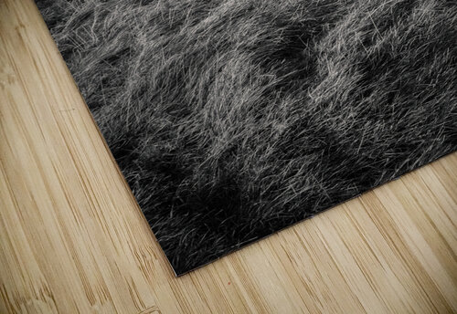 Black Hill War Memorial  Dave Bowman puzzle