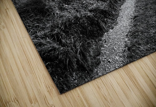 Tracks to Corgarff Castle Dave Bowman puzzle