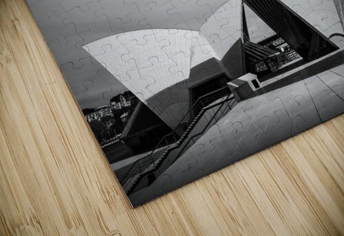 Sydney Opera House Forecourt Dave Bowman puzzle